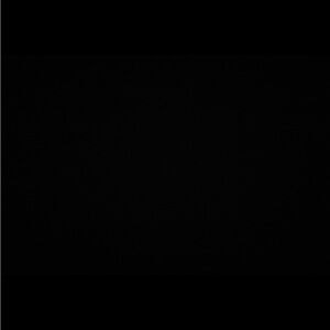 Tory Burch Chelsea Ballet Flats Snake Print Leather Women’s Size 8